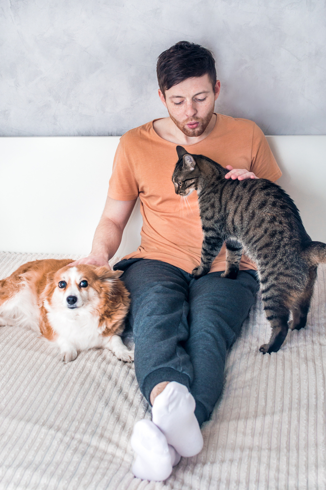 Men with his Cat & Dog in VITRA Apartments Men with his Cat & Dog in VITRA Apartments